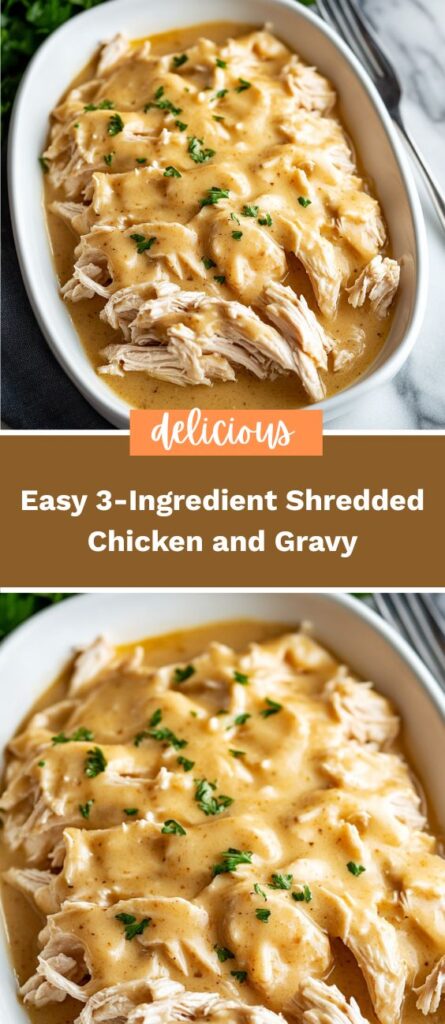 Easy 3-Ingredient Shredded Chicken and Gravy 4 50krecipes.com 2025 05 31T232153.920