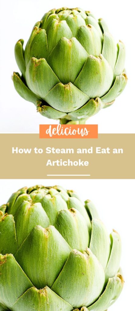 How to Steam and Eat an Artichoke 3 comohowto.co 2025 08 23T023923.708