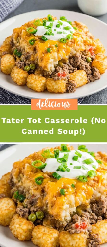 Tater Tot Casserole (No Canned Soup!) 4 50krecipes.com 2025 09 15T223820.043