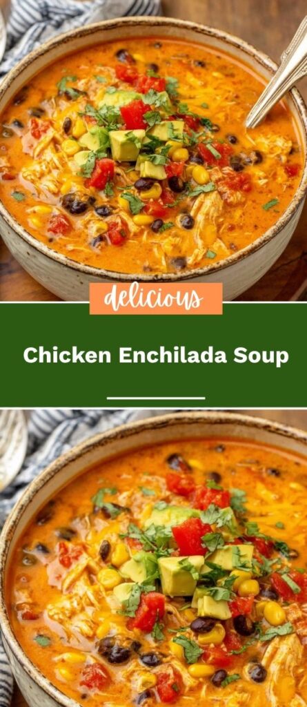 Chicken Enchilada Soup 3 comohowto.co 2025 10 31T233814.914