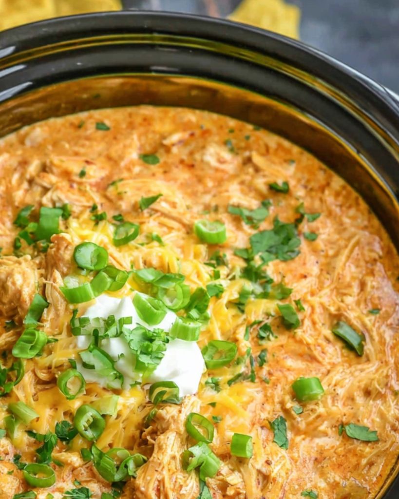 Slow Cooker Chicken Enchilada Dip 2 Design sans titre 2025 12 10T000022.474