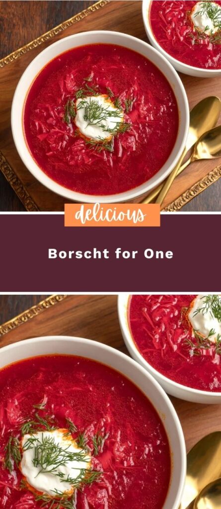 Borscht for One 4 50krecipes.com 2026 03 11T133140.004