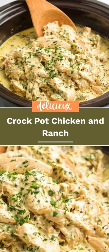 Crock Pot Chicken and Ranch 4 idees recettes.com 2026 05 22T222039.893