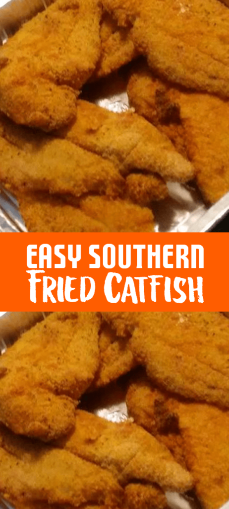 Fried Catfish min