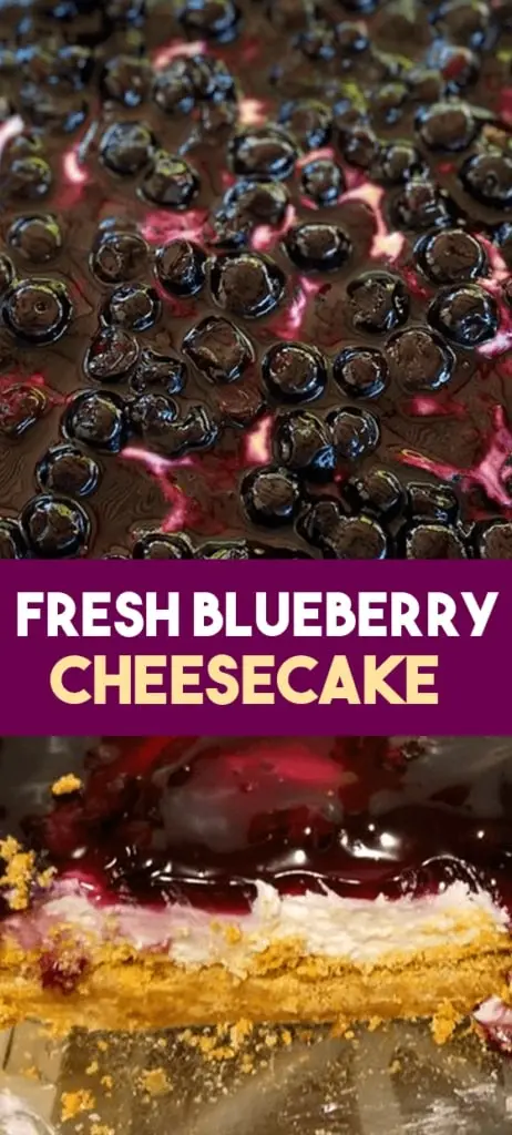 FRESH BLUEBERRY CHEESECAKE min 462x1024 1