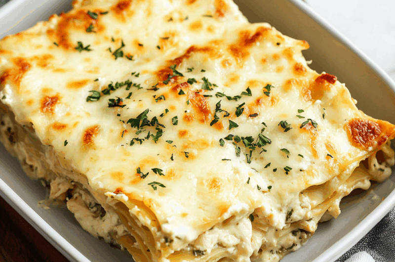 Creamy Chicken Lasagna Recipe