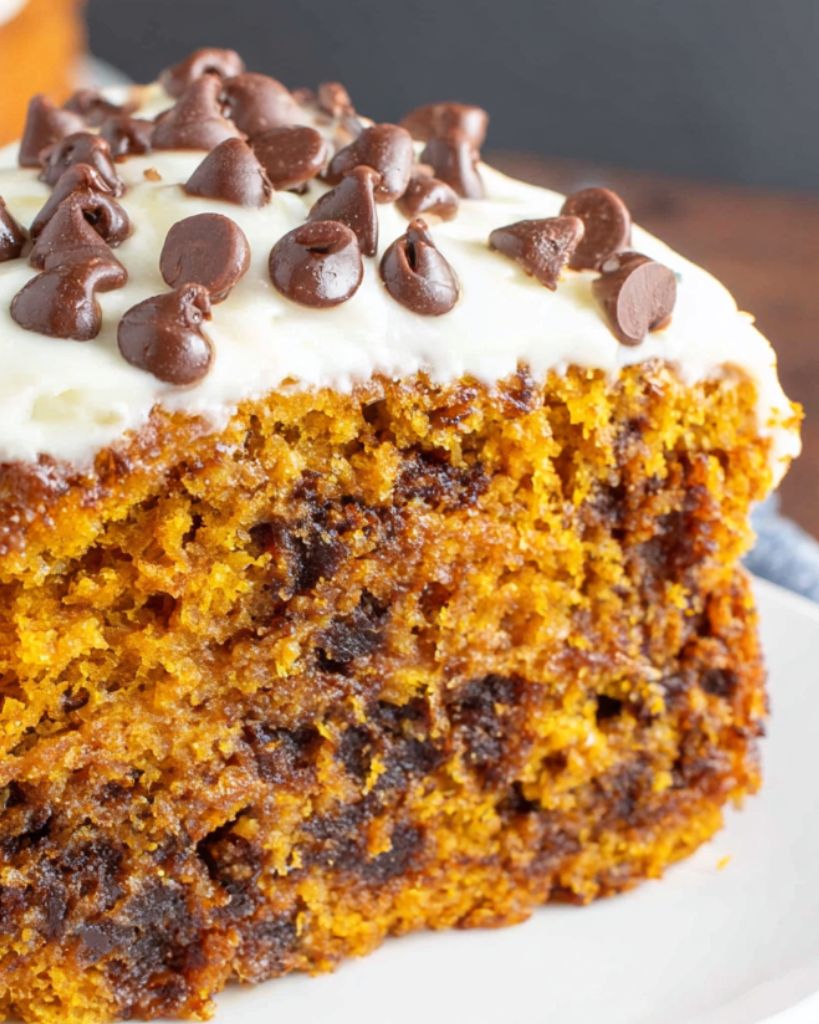 Dolce di zucca e gocce di cioccolato